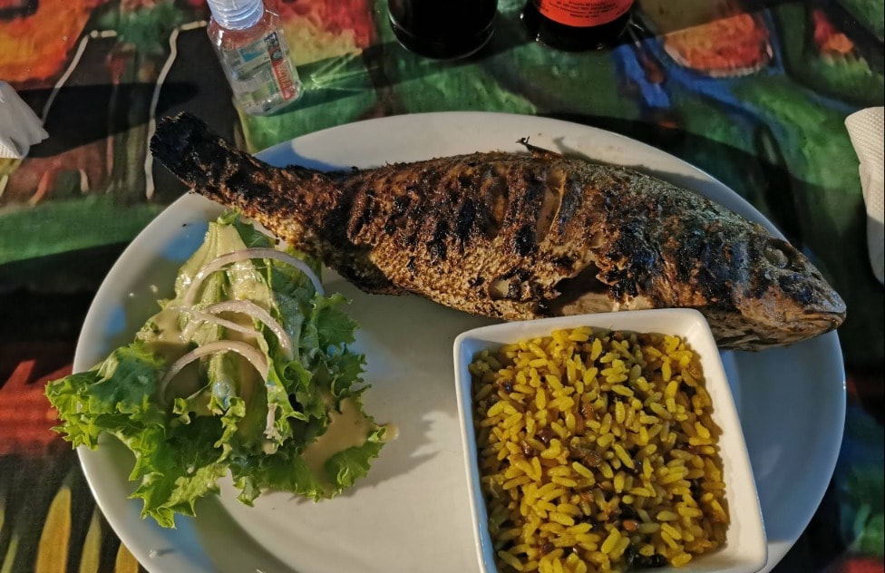 Poisson grillé servi avec riz jaune et salade fraîche