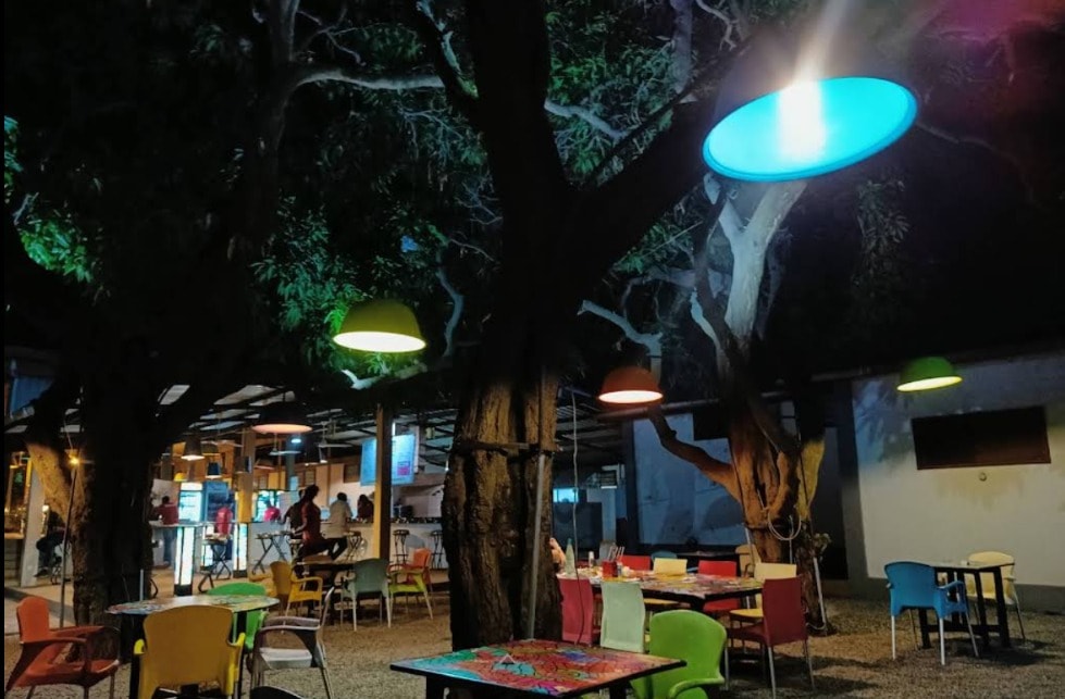 La terrasse ombragée sous les arbres, lampes allumées